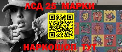 крисы Камышлов