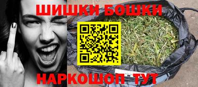 крисы Камышлов