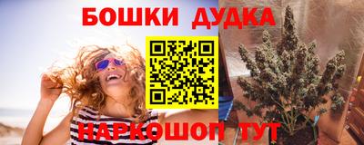 дмт Канаш