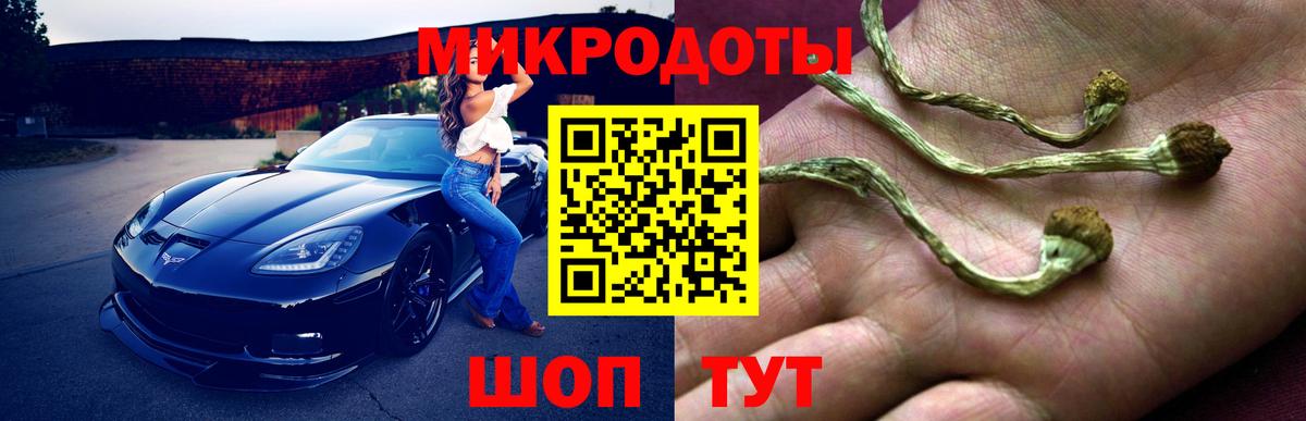 Вичуга  Галлюциногенные грибы прущие грибы  Вход с VPN 